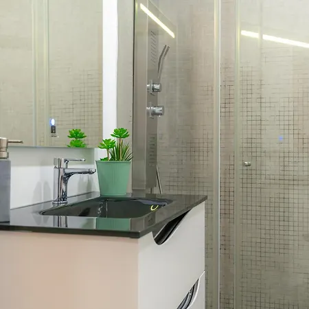 Atlantic Nest Daire Coimbra